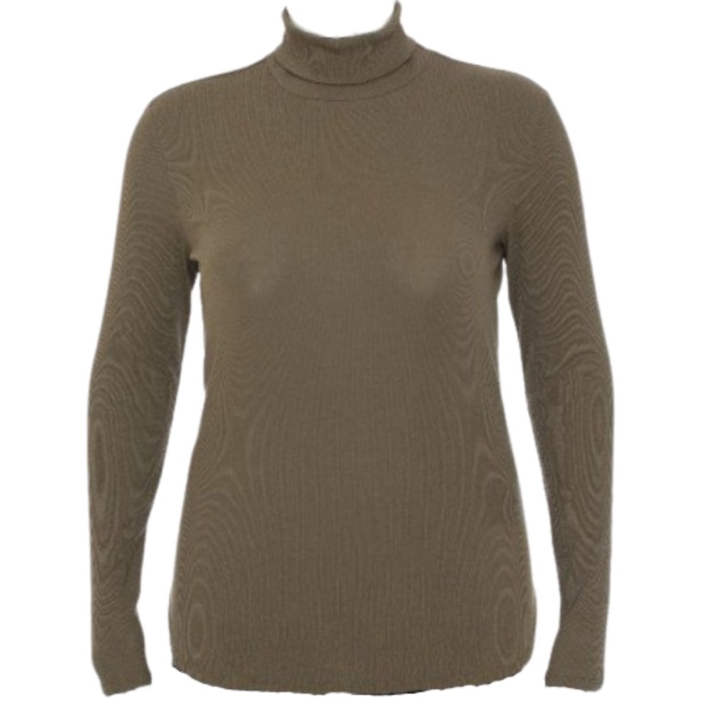 AMBIANCE, Green, Long Sleeve Turtleneck, Sizes 1X-3X.
